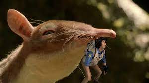 BBC iPlayer - Andys Prehistoric Adventures - 8. Leptictidium and Fig -  Audio Described