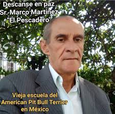 El Dios De Los Perros