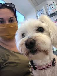 E Litter Dogs' 11th Birthday Celebration