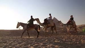 Our first time experiencing a camel ride was during a desert safari in dubai which to be honest was a very short tacked on adventure that lasted less than 5 minutes, we so when we had the opportunity to go on an hour long camel riding in the center of australia, we quickly jumped at the opportunity. Cairo Egypt February 04 Stock Footage Video 100 Royalty Free 16569697 Shutterstock