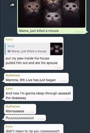 The Photo Alone Is Epic But This Song Queen Bohemianrhapsody Mama Cat Mouse Song Alternativelyrics Alternative Lyr Best Funny Pictures Memes Funny