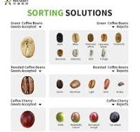 Coffee Bean Color Sorter – colour sorting machine ...