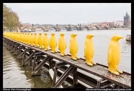 Hoiho are some of the rarest penguins in the world, and are in danger of becoming extinct on mainland new. Czech Republic Prague Yellow Penguin Invasion Of The Historic Charles Bridge Steve Van Hoyweghen