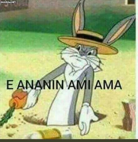images?q=tbn:ANd9GcQlQpIfiL1N6wpa3O5Guvm