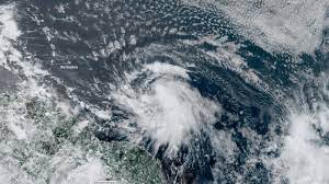 Fallen trees and power outages after storm elsa causes damage in the west and south. Kvia17t7w8lqnm