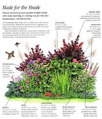 We did not find results for: Shade Garden Plan Gardenborders Shade Garden Plants Shade Garden Garden Shrubs