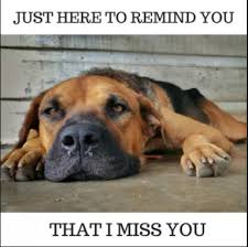 Funny I Miss You Memes 2018 I Miss You Memes For Him Her