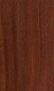 Image result for Cynometra alexandri