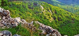 Aggtelek national park is a national park in northern hungary, in the aggtelek karst region. Nationalpark Bukk Miskolc Bild Von Aggtelek National Park Josvafo Tripadvisor
