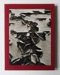 aaron siskind 100 so books ポスター 作品