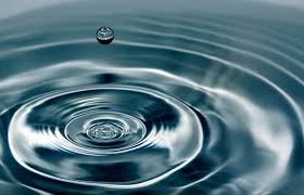 Different types of cells in the body do different jobs. Understand The Water Signs Of The Zodiac Lovetoknow