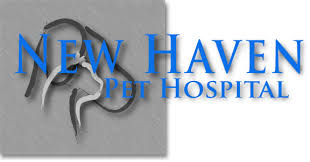 Fort wayne pet hospital fort wayne indiana. New Haven In Veterinarian New Haven Pet Hospital