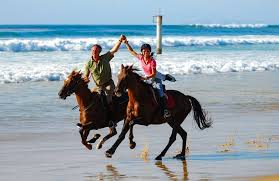 Kantern, galoppieren, trabenfrom the english canter vi,vi,vi. Reiten Am Strand Der Traum Bei Sonne Und Wind Im Galopp Durch Die Brandung Barnboox De Pferdewissen Online
