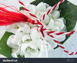 Image result for ghiocel