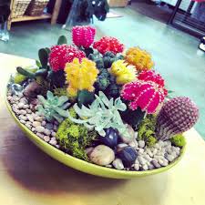 Pin By Gail Celis On In House Garden Design Dish Garden Cacti And Succulents Succulents