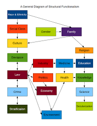 Diagram Of Structural Functionalism This Diagram Exhibits Examples Of Interrelated Functions In Society Which Are Sociology Quotes Sociology Writing Services