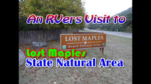 Lost maples is a state natural area and therefore has been developed only enough to provide access to visitors, while still protecting its natural character. Rv Camping Lost Maple State Park Vanderpool Tx Youtube