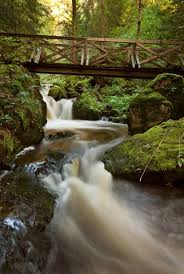 Ravennaschlucht Schwarzwald Urlaub Ferien Deutschland Hochschwarzwald