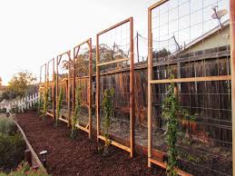 Allow a full day to build your first trellis. How To Build A Trellis Inexpensive Easy Designs Homestead And Chill