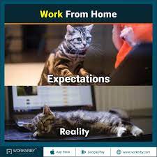 While it was twitter that sent the format stratospheric, the manifesto originated from tumblr. Worknrby Com On Twitter Expectation Vs Reality Memes Socialdistancing Workfromhome Worknrby Coronavirus Coronavirusmemes Pandemic Quarantine Snacks Staystrong Focus Motivated Keepgoing Https T Co V1b8jxyyr0