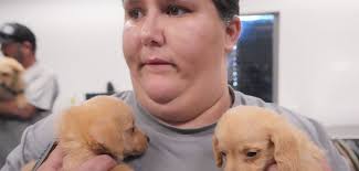 41 dogs rescued from hoarder conditions in Missouri