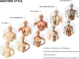 Complete with color map and bump maps. Mixed Dimension Detailed 3d Printed Human Anatomy Models Hit Kickstarter Geeky Gadgets
