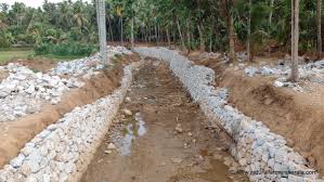 We did not find results for: Mystery Of The Disappearing Fish Natural Farmers Kerala