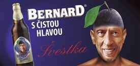 Advertising campaigns