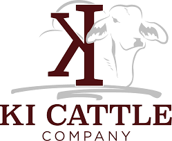 Dairy cattle boer goat brahman cattle taurine cattle calf, sheep, animals, cow goat. Home Ki Cattle Company Brahman Cattle Texas