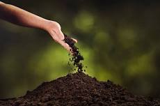 A Greener Goodbye: Continuing the Exploration of Eco-Friendly Burials