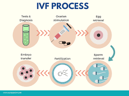 Ivf is listed in the world's largest and most authoritative dictionary database of abbreviations and acronyms the free dictionary How Long Is The Process Of Ivf Quora