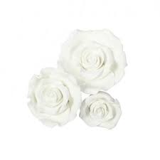 I can sell it sugar flowers & leaves save hours of your time with these ready made sugar flowers and leaves! Edible Flowers