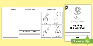 Th 67 sunflower worksheet printable pack contains a variety of math and literacy activities as well as many activities which help improve fine motor skills; My Diary Of A Sunflower Booklet Grow Your Own Sunflower