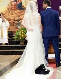 The couple first met in 2007 and dated for three years before their wedding. You Won T Believe What Happened When A Black Cat Entered A Church During A Wedding Ceremony Poc