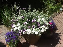 moederdag kado tuin moederdag postzegels