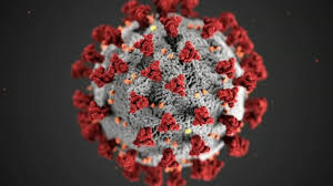 Was highly effective, setting the stage for an emergency authorization later this week that would add a second. Moderna Covid Vaccine Remains 93 Effective At 6 Months Company Says 6abc Philadelphia