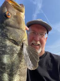 Caught a large sheepshead fish
