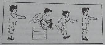 Contoh soal essay senam lantai dan jawabannya. Contoh Soal Penjas Kelas X Semester 2 Dan Kunci Jawabannya Essay Part 6 Kumpulan Soal Materi Sekolah