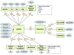 Additional File 1 Relational Database Database Design Data Science