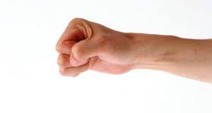 doctorex org nbspthis website is for sale nbspdoctorex resources and information hands hand fist hand anatomy