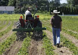 Get discounts up to 40% off. Small Area Farms Feel Effect Of Labor Shortage The Blade