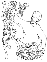 Parabole De La Vigne Du Maitre Livres De La Bible Loisirs Creatifs Lies A La Bible Coloriage