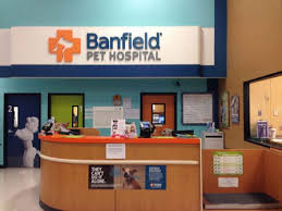 Our convenient pet hospitals are located in select petsmart stores. Veterinarians In Falls Church Va Banfield Pet Hospital