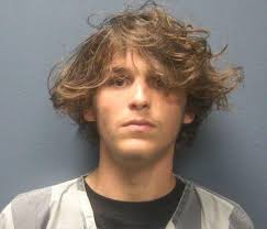 HENRY, TISHA J Charges: VIOLATION OF PROBATION CIRCUIT This information and  more is available at isoms.seviercountytn.org:9000/Jail?hours=24