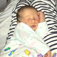 Lotus Leaf Asian Salads