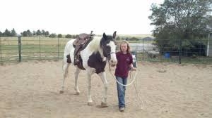 Trace a dinosaur's tracks at the dinosaur resource center, hike into nature's splendor at pikes peak region, or leap into learning at one of colorado spring's. Horse Camps In Colorado Springs Colorado El Paso County