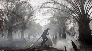 Kebakaran adalah peristiwa saat panas, oksigen, bahan mudah terbakar, reaksi kimia berantai terus berkobar, membesar, dan meluas. Sebagian Besar Lahan Terbakar Disebut Milik Perusahaan