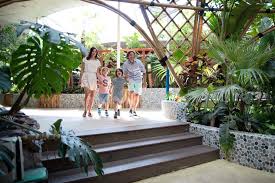 Neu Habt Ihr S Schon Gehort Der Market Dome In Center Parcs Limburgse Peel Wurde Komplett Neu Gestaltet Mit Einer Bambu Center Parcs Instagram Plants