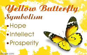 Black And White Spotted Butterfly Meaning Butterflies Represent Hope Courtship Wedlock Love And Reincarnation As Per The Many Theories Known Aro Butterfly Symbolism Yellow Butterfly Butterfly Quotes
