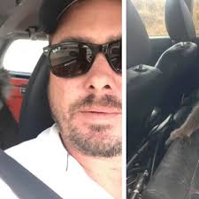 Koala se sube a auto con aire acondicionado para huir del calor y se rehúsa  a bajar